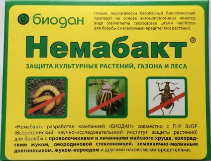 Немабакт що це і як застосовувати проти шкідників (проти) Немабакт що це і як застосовувати проти шкідників