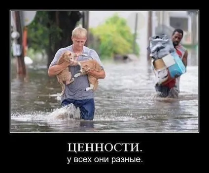 Ні дня без посмішки