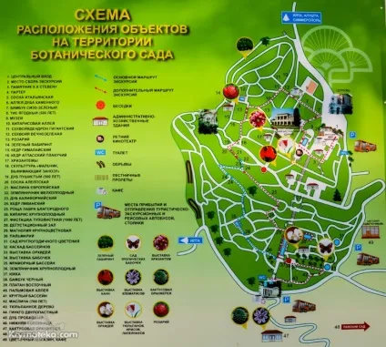 Нікітський ботанічний сад