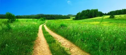 Новий рік - чарівне свято, коли виконуються всі бажання! (Чарівне свято) Новий рік - чарівне свято, коли виконуються всі бажання!