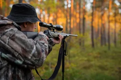 Норна полювання на лисиць з собаками підготовка військово-промислового комплексу (норна) Норна полювання на лисиць з собаками підготовка військово-промислового комплексу