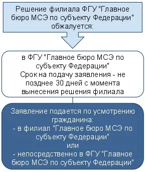 Оскарження рішень МСЕ
