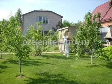 Обробка дачної ділянки від кліщів (кліщів) Обробка дачної ділянки від кліщів