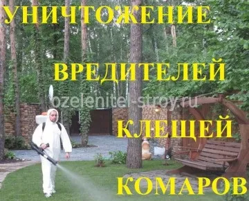 Обробка дачної ділянки від кліщів (дачного) Обробка дачної ділянки від кліщів