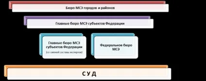 Оскарження рішення МСЕ