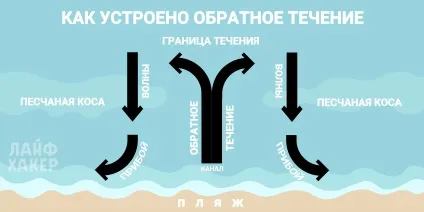 Зворотне протягом що це таке і як не потонути поруч з берегом