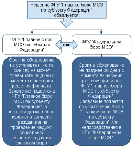 Оскарження рішень МСЕ