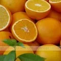 Як перевірити ефірне масло на індивідуальну переносимість (провести тест на аромамасло), expertoza