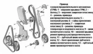 Як перевірити натяг ременя грм за допомогою ключа та спеціального приладу (натяг) Як перевірити натяг ременя грм за допомогою ключа та спеціального приладу