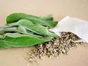 Як продовжити овуляцію народними засобами (продовжити) Як продовжити овуляцію народними засобами