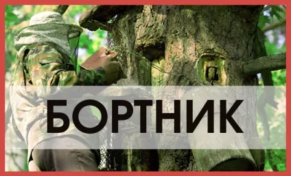 Як приготувати в домашніх умовах сироп для бджіл (сироп) Як приготувати в домашніх умовах сироп для бджіл