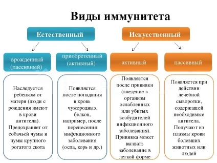 Як працює імунітет