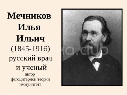 Як працює імунітет