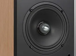 Огляд і тестування двосмугових поличних колонок arslab classic 1 з двома динаміками (колонок) Огляд і тестування двосмугових поличних колонок arslab classic 1 з двома динаміками