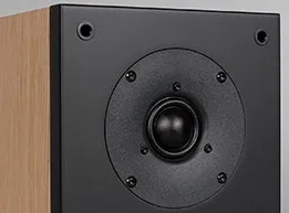 Огляд і тестування двосмугових поличних колонок arslab classic 1 з двома динаміками (двома) Огляд і тестування двосмугових поличних колонок arslab classic 1 з двома динаміками