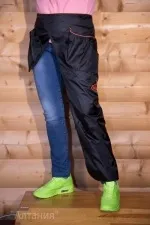 Одяг для дресирування