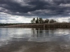 Омичи два дні засмагали і купалися поруч з трупом (труп) Омичи два дні засмагали і купалися поруч з трупом