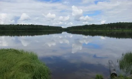 Один день в Орловському полісся