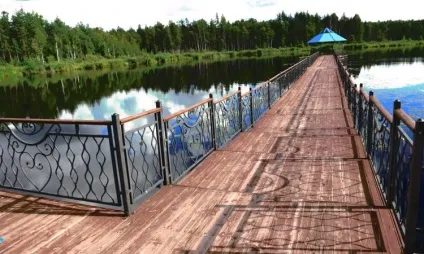 Один день в Орловському полісся