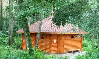 Один день в Орловському полісся