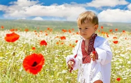 Оформлення патріотичних куточків в дитячому саду своїми руками (куточків) Оформлення патріотичних куточків в дитячому саду своїми руками