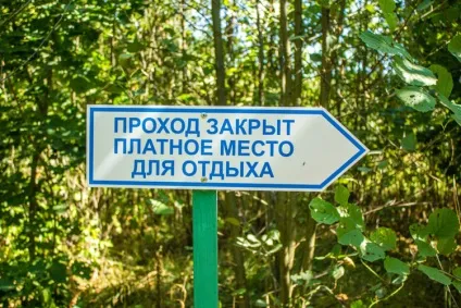 Один день в Орловському полісся