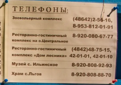 Один день в Орловському полісся