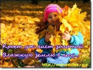 Осінь для дітей, загадки, вірші про осінь для дітей (прислів'я про осінь) Осінь для дітей, загадки, вірші про осінь для дітей