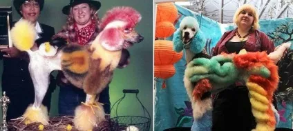Оригінальний бізнес без вкладень для жінок - розфарбовування собак (бізнес без вкладень для жінок) Оригінальний бізнес без вкладень для жінок - розфарбовування собак