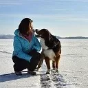 Відпочинок на Байкалі з собаками - подорожі з собаками - сторінка 2 з 2 - собаки байкальської регіону (догсбайкал) Відпочинок на Байкалі з собаками - подорожі з собаками - сторінка 2 з 2 - собаки байкальської регіону