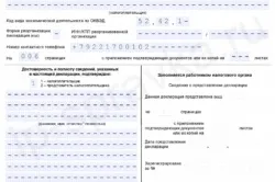 Звітність ип без найманих працівників