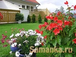 Особливості ландшафтного дизайну 1 (дільниця) Особливості ландшафтного дизайну 1