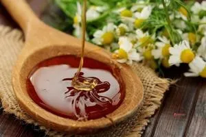 Основні корисні властивості гірського меду різновиди високогірного меду, протипоказання (протипоказання) Основні корисні властивості гірського меду різновиди високогірного меду, протипоказання