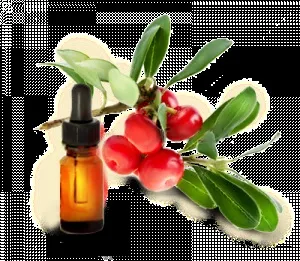 Відбілюючий крем Евелін (eveline cosmetics)