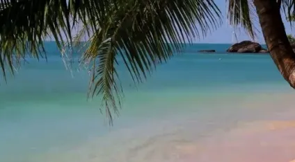 Готелі Таїланду, які цікаві туристам, джакарта-travel (знаходиться першої лінії) Готелі Таїланду, які цікаві туристам, джакарта-travel