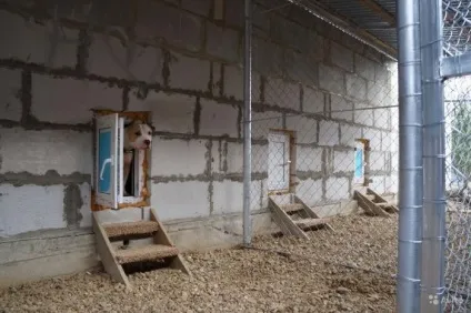 Готелі для собак