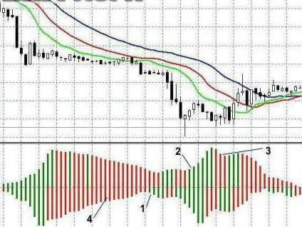 Осцилятор - це що таке принцип роботи осцилятора (роботи) Осцилятор - це що таке принцип роботи осцилятора