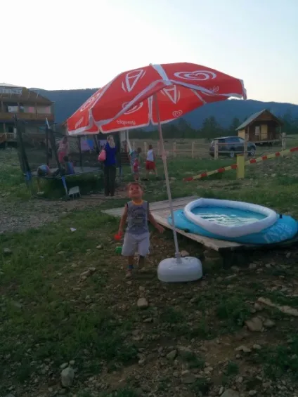Відпочинок на Байкалі з собаками - подорожі з собаками - сторінка 2 з 2 - собаки байкальської регіону (собаки Байкалу) Відпочинок на Байкалі з собаками - подорожі з собаками - сторінка 2 з 2 - собаки байкальської регіону