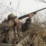 Полювання на кабана з засидження, з вишки, з підходу і в кукурудзі (засидження) Полювання на кабана з засидження, з вишки, з підходу і в кукурудзі