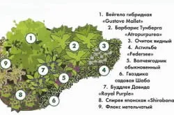 Палісадник своїми руками ландшафтний дизайн
