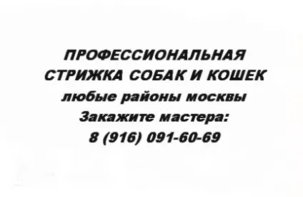 Відмінності стерилізації від кастрації (тварині перев'язують маткові) Відмінності стерилізації від кастрації