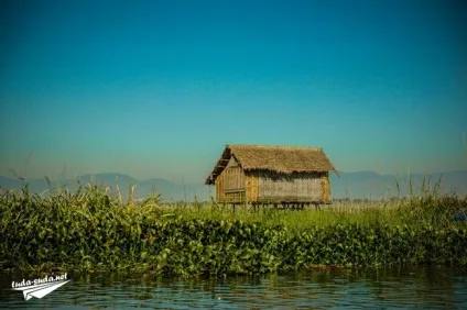 Озеро Інле - життя на воді (Інле мьянма) Озеро Інле - життя на воді