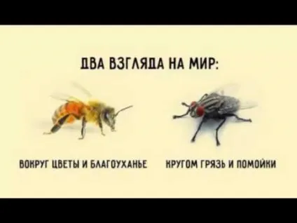 Відгуки mpg boost