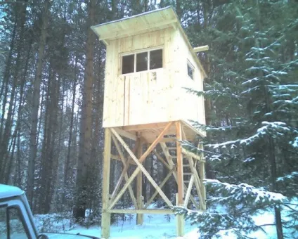 Полювання на кабана з засидження, з вишки, з підходу і в кукурудзі (засидження) Полювання на кабана з засидження, з вишки, з підходу і в кукурудзі