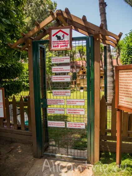 Парк в Аланії біля пам'ятника Ататюрка (парк) Парк в Аланії біля пам'ятника Ататюрка