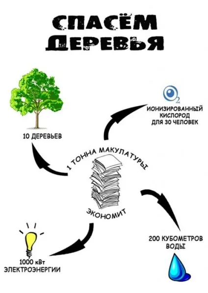 Переробка макулатури - що роблять з вторсировини паперу (макулатура) Переробка макулатури - що роблять з вторсировини паперу