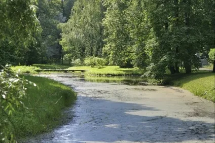 Пейзажний (англійський) парк єкатерининського парку царського села, частина 1 (турецька лазня) Пейзажний (англійський) парк єкатерининського парку царського села, частина 1
