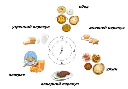 Харчування плавця має бути збалансованим (спортивне харчування для плавців підлітків) Харчування плавця має бути збалансованим