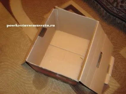 Піратський скриню, господиня (піратський скриню) Піратський скриню, господиня