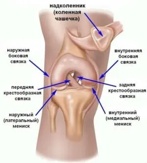 Чому болять коліна у підлітків